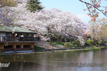 神奈川県立三ツ池公園