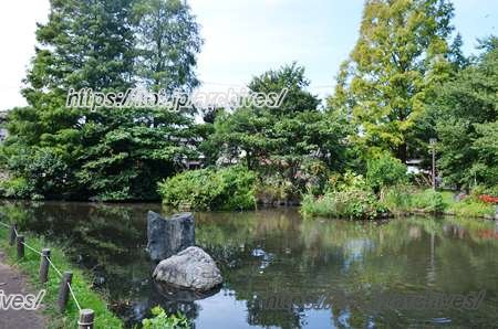 東綾瀬公園 観察の池