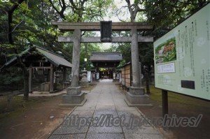 赤坂氷川神社