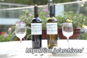 Pizzeria-Trattoria Napule