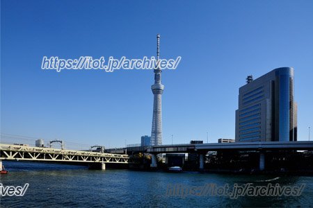浅草公園から見たスカイツリー