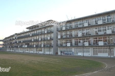 東京都江東区インタビュー