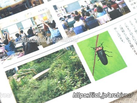 矢口西小 ホタル