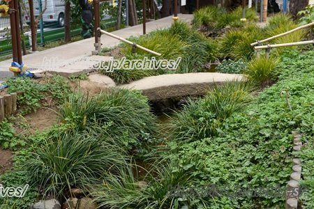 矢口西小 ビオトープ