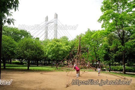 東京都江東区インタビュー
