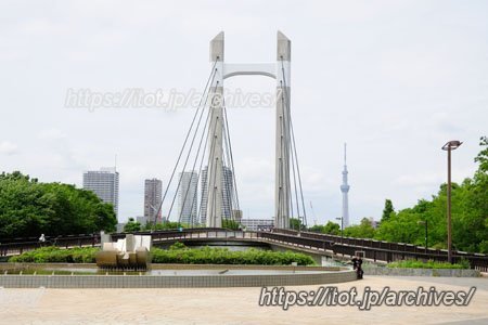 “万が一”に備える大規模防災拠点 地域の輪を支える木場公園の魅力とは／公益財団法人 東京都公園協会 木場公園サービスセンター長 島田 都紀子さん