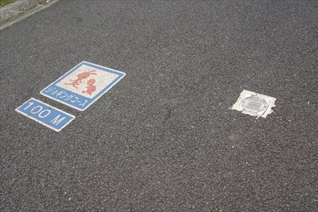 木場公園サービスセンター長　島田都紀子さん　インタビュー