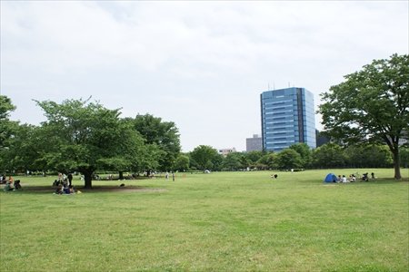 木場公園サービスセンター長　島田都紀子さん　インタビュー