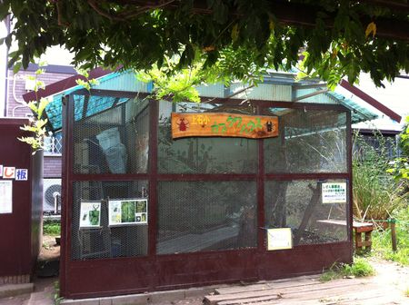 練馬区立上石神井小学校インタビュー