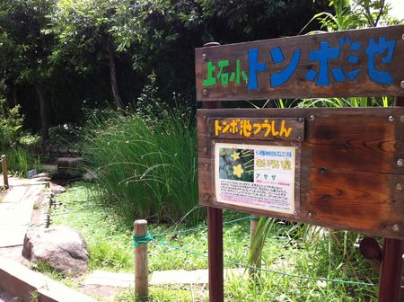 練馬区立上石神井小学校インタビュー