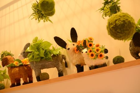 もりの風保育園