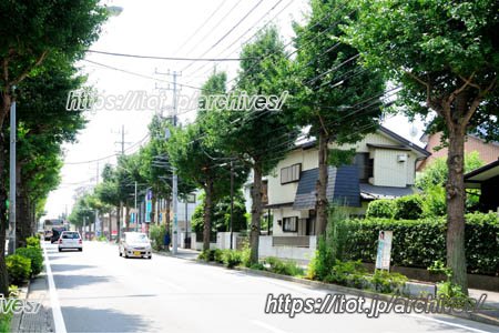 青葉区しらとり台の街並み