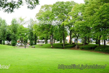 竹園公園 竹園公園