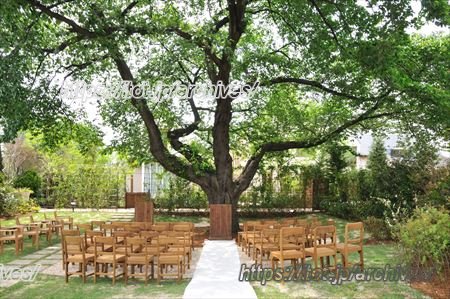 三橋の森インタビュー