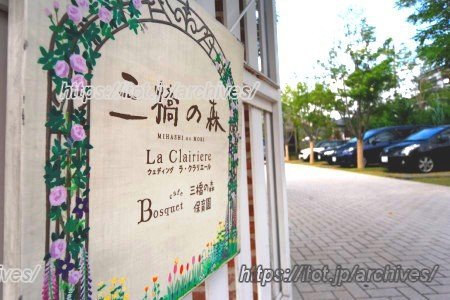 三橋の森インタビュー