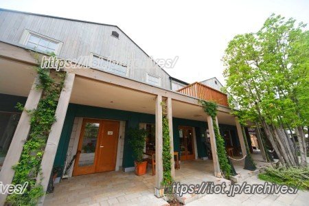 三橋の森インタビュー