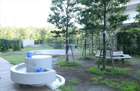 ひまわりキッズガーデン有明 園長インタビュー