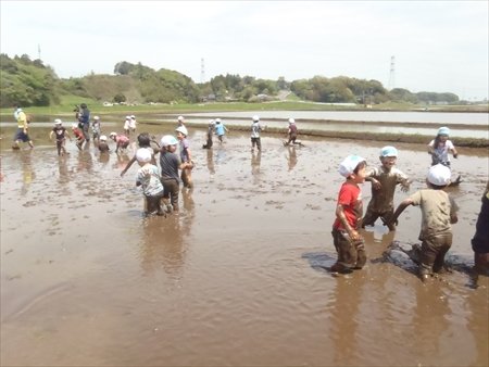 ひまわりキッズガーデン有明
