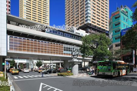 「羽二重団子」7代目当主 インタビュー