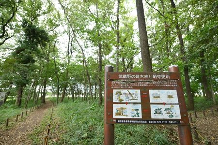 清瀬第8小学校　校長インタビュー