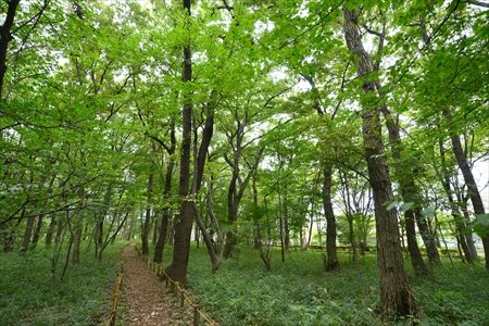 清瀬第8小学校　校長インタビュー