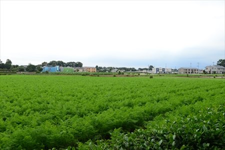 清瀬第8小学校　校長インタビュー