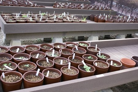 西浮間小学校長インタビュー