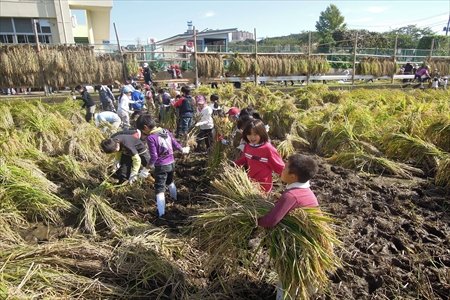 横浜市立荏田小学校インタビュー
