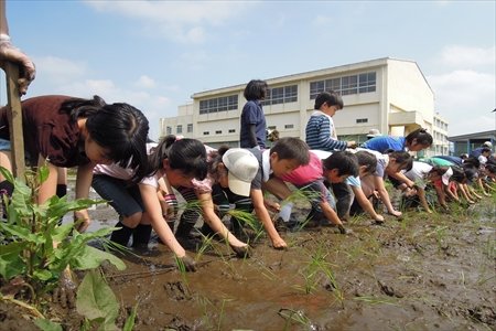 横浜市立荏田小学校インタビュー