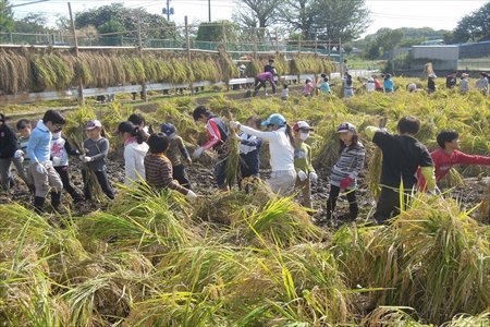 横浜市立荏田小学校インタビュー