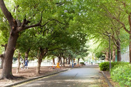 東京都立赤塚公園 城址地区