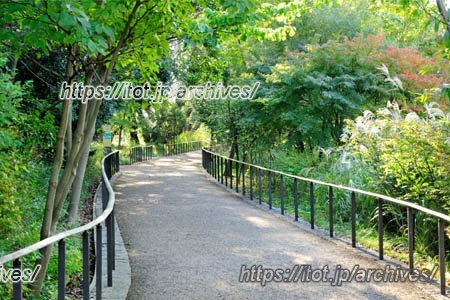 赤羽自然観察公園