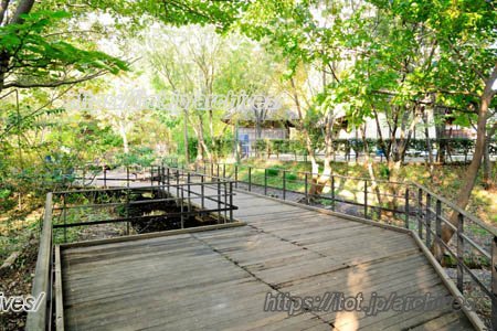 赤羽自然観察公園