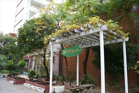 文京区立本駒込幼稚園