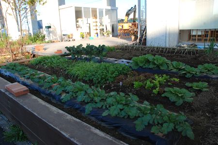 環境コンビニステーション　館長インタビュー