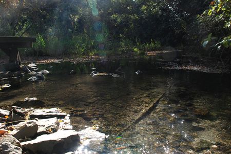環境コンビニステーション　館長インタビュー
