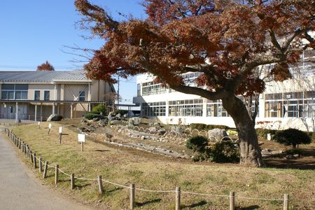 柏市立田中小学校
