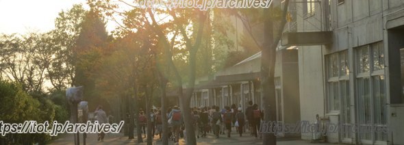 憧れの中学生を身近に感じ、 将来の目標を育てる／つくば市立竹園西小学校　矢口和子先生