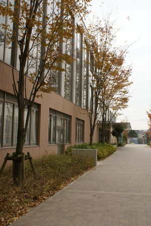 幼稚園から小・中・高校までの一貫教育／日出学園小学校校長　二見晴彦先生/日出学園幼稚園園長　早川好江先生