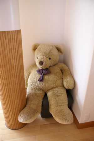 日出学園インタビュー