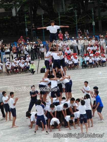 大泉桜学園インタビュー