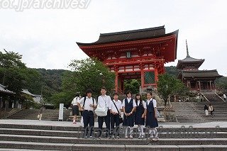 大泉桜学園インタビュー