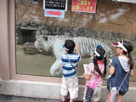 名戸ヶ矢小学校インタビュー