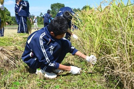 北区立神谷中学校