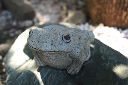 杉並区方南町　インタビュー