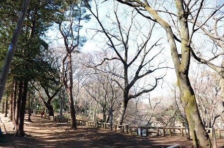 和田堀公園