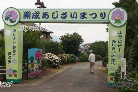 あじさい祭り
