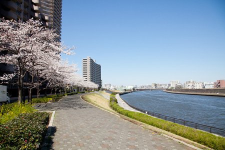 隅田川テラス（南千住付近）