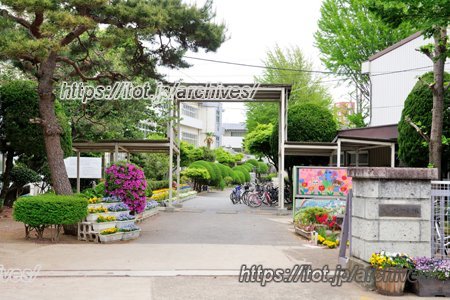 柏市立柏第一小学校