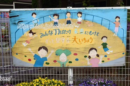 柏市立柏第一小学校 インタビュー